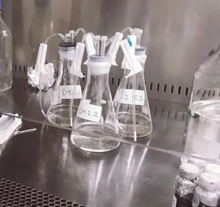 Matraces de vidrio en una cabina de laboratorio