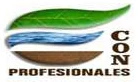 Con Profesionales